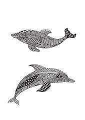 Decorative dolphin line art illustration, abstract marine animal vector with intricate patterns for ocean design, coloring book, and sea life artwork