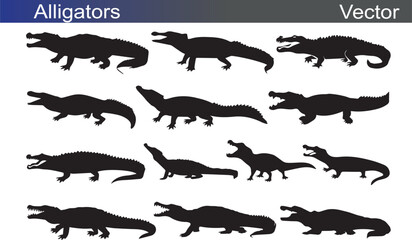 Aligator Silhouette Vectror Illustration on White Background