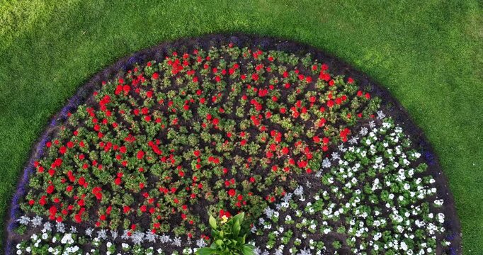 Flowerbeds and Lichfield Cathedral