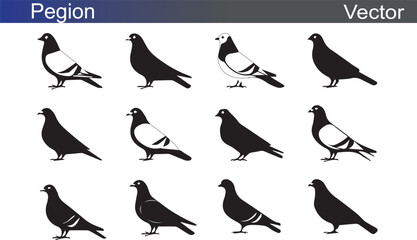 Pegion Silhouette Vectror Illustration on White Background