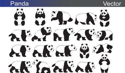 Panda Silhouette Vectror Illustration on White Background