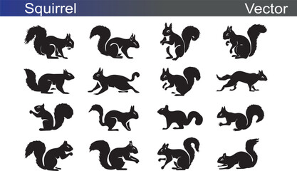 Squirrle Silhouette Vectror Illustration on White Background