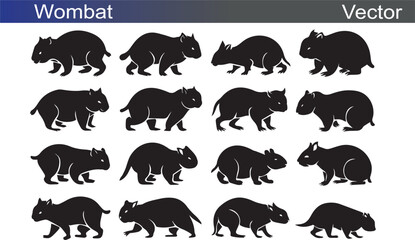 Wombat Silhouette Vectror Illustration on White Background