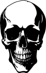 Demon Skull Vector Collection