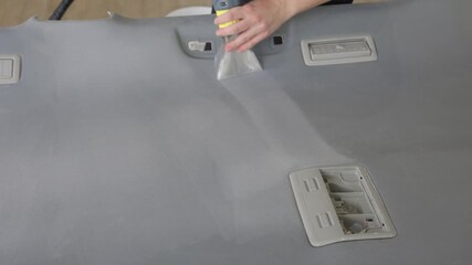 Experience Exceptional Professional Car Interior Cleaning Utilizing Advanced Steam Technology