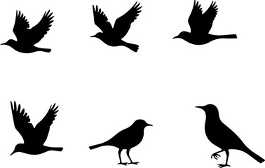 Flying Bird Silhouette Pack vector bundle