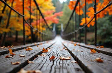 A wooden suspension bridge stretches into the distance surrounded by colorful autumn trees