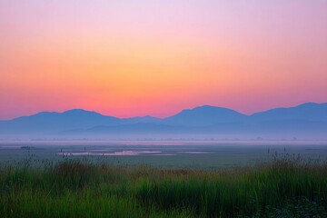 Obraz premium ​Serene sunrise with pastel sky and grass​ 