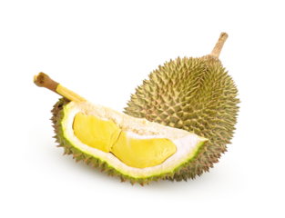 Fresh durian, delicious, isolated on white background. Durian fruit isolated on white background with clipping path  on transparent.