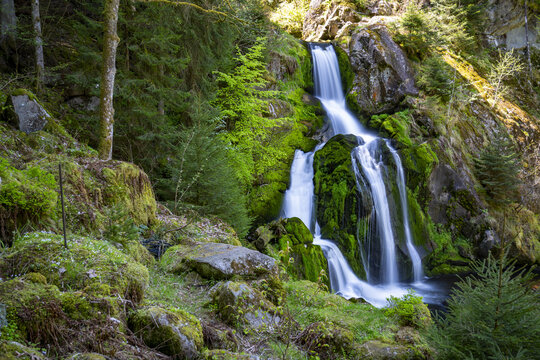 View of cascading waterfalls tumble over moss-covered rocks amidst a lush forest, creating a serene and vibrant scene, Triberg im Schwarzwald, Baden-Wurttemberg, Germany.