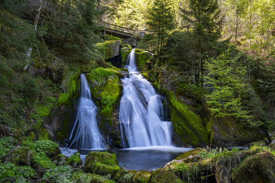 View of cascading waterfalls plunge amidst verdant moss-covered rocks and dense forest, creating a serene scene, Triberg im Schwarzwald, Baden-Wurttemberg, Germany.