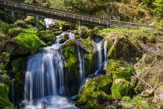 View of cascading waterfalls enveloped in vibrant green moss, framed by a wooden bridge, creating a serene natural landscape, Triberg im Schwarzwald, Baden-Wurttemberg, Germany.