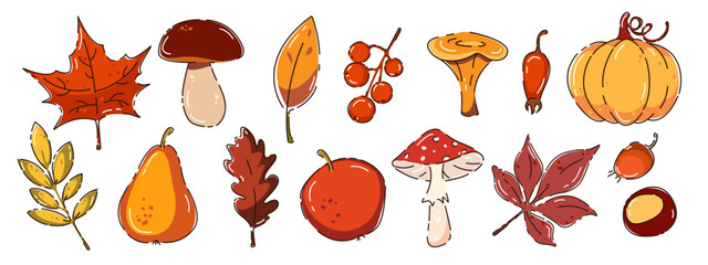 Set of autumn elements. Autumn leaves, mushrooms, berries, pumpkin. Autumn design elements. Hello autumn. Vector illustration.