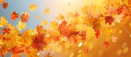 8k, hyper-realistic, highly detailed, ultra vibrant, stunning autumn foliage, floating maple leaves, glowing warm lighting, golden hour, soft focus background, nature photography
