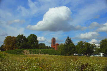 meadow, wildflowers, summer field, blue sky, clouds, nature, landscape, rural scene, countryside,...