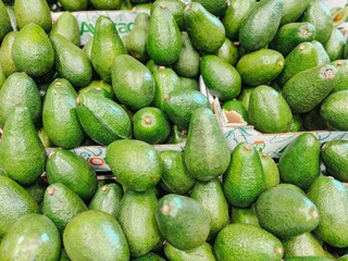 Pile of Ripe Green Avocados in a Box