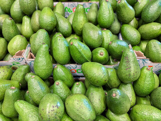 Fresh Green Avocados for Sale at a Market