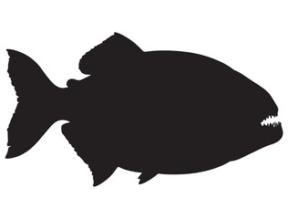 PIRANA FISH SILHOUETTE