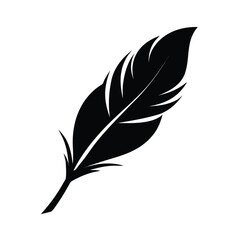 Obraz premium feather and ink