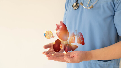 Organ donation and transplantation concept. Doctor hands holding liver, heart, eye, kidney and lung...