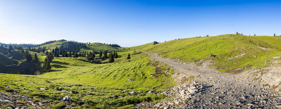 View of rolling hills bathed in sunlight meet a rugged dirt path under a vast blue sky, a serene panorama of nature's beauty, Stahovica, Kamnik, Slovenia.
