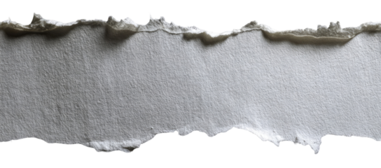 Ripped paper strip against a black background.  A horizontal strip of off-white paper with uneven edges, showing a ragged, torn texture