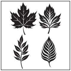 Fototapeta premium Vector art of collection of four different autumn leaves isolated on white background