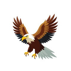 Obraz premium bald eagle in flight