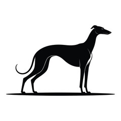 Obraz premium Elegant Greyhound Silhouette Standing Proudly on White Background Pet Portrait Design for Print and Digital Uses