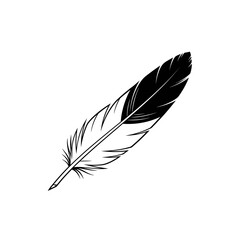 Illustration of a single black and white feather with detailed barbs design
