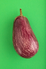 Purple eggplant with white stripes on green pastel, Side view, copy space.