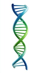 3D model of a double helix structure, showcasing vibrant color gradients