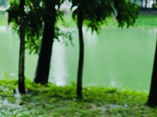 Beautiful landscape featuring a tranquil lake surrounded by verdant greenery and tall trees. Reflects the calming ambiance of nature and tranquility, providing a sense of peace and relaxation.