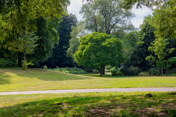 Summer landscape, Slope green grass and trees in city urban park, Rijsterborgherpark or Singelplantsoen, Located near Deventer Station, The historical region of the province of Overijssel, Netherlands