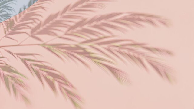 Shadows of palm leaves cast on a light peach wall, creating a soft, natural, and abstract pattern.