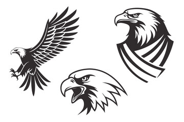 Obraz premium eagle vector illustration