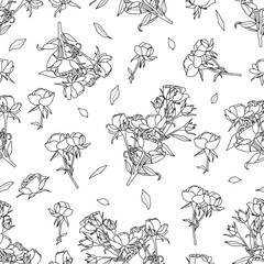 Abstract floral background. Coloring page for adults and children. Branches with leaves and flowers on a white background.