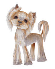 Watercolor illustration of a Yorkshire Terrier with silky fur, hand-painted on a white background. Suitable for stickers, greeting cards, scrapbooking, and design projects