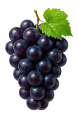 Fototapeta premium A cluster of ripe black grapes with a green leaf attached to the stem on transparent background.