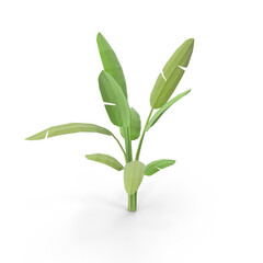 Fototapeta premium Low Poly Tropical Plant with Geometric Leaves Isolated on Transparent Background
