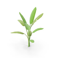 Fototapeta premium Low Poly Tropical Plant with Geometric Leaves Isolated on Transparent Background