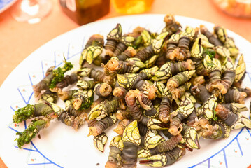 A platter of fresh Atlantic goose barnacles, authentic local cuisine.