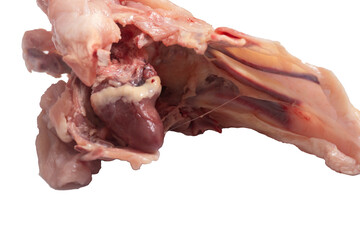 without skin meat skin-removed full-chicken white-meat murghi gosht raw-frango raw-poulet, food uncooked poultry-meat raw-pollo hen-meat bird-meat closeup image photo,