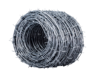 Barb wire isolated on transparent background