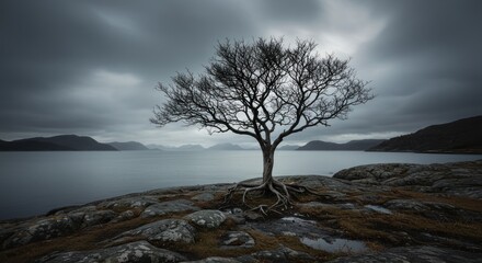 Lonely tree on rocky shore