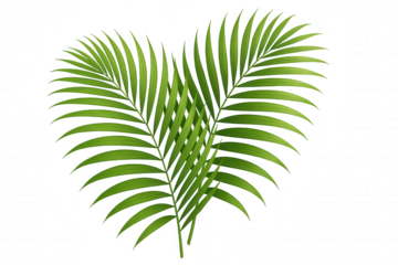 Two Vibrant Green Palm Fronds Artfully Arranged in a Heart Shape, Evoking Tropical Serenity and Natural Beauty