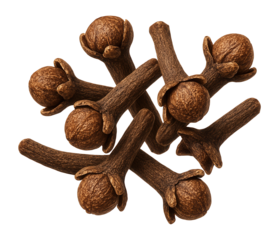 A cluster of aromatic brown cloves with detailed texture and vibrant coloration on transparent background.