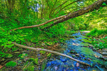 The Orbieu River in French Occitania. Its source is in the Corbières in Aude.
