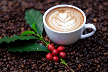 cappuccino white cup, and green coffee leaves, and red raw coffee, with roasted coffee beans backgrounds abstrack