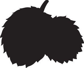 Ackee fruit in silhouette image white backgrpound.
